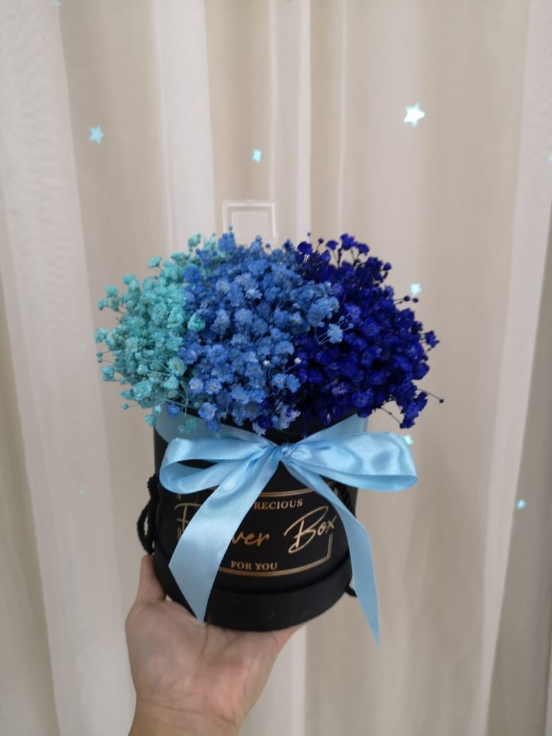 Pretty Baby Breath – Blue Baby Breath in a Box | Florist in Kajang