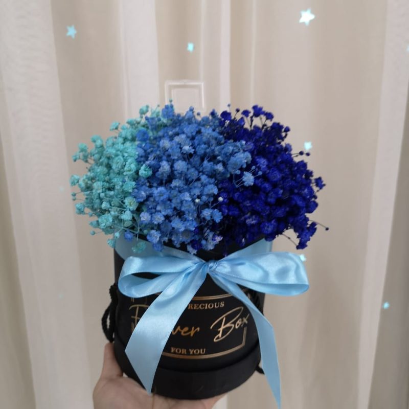 Pretty Baby Breath – Blue Baby Breath in a Box | Florist in Kajang