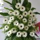 Flower Bouquet Condolence Stand 2